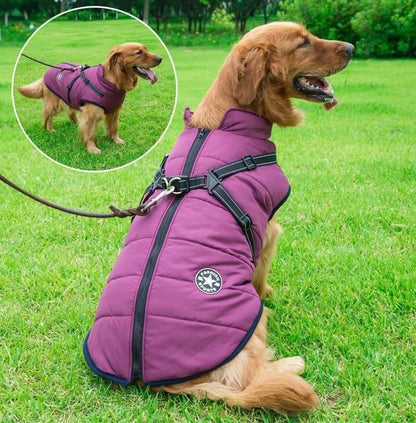 🎅Waterproof Winter Dog Jacket with Built-in Harness