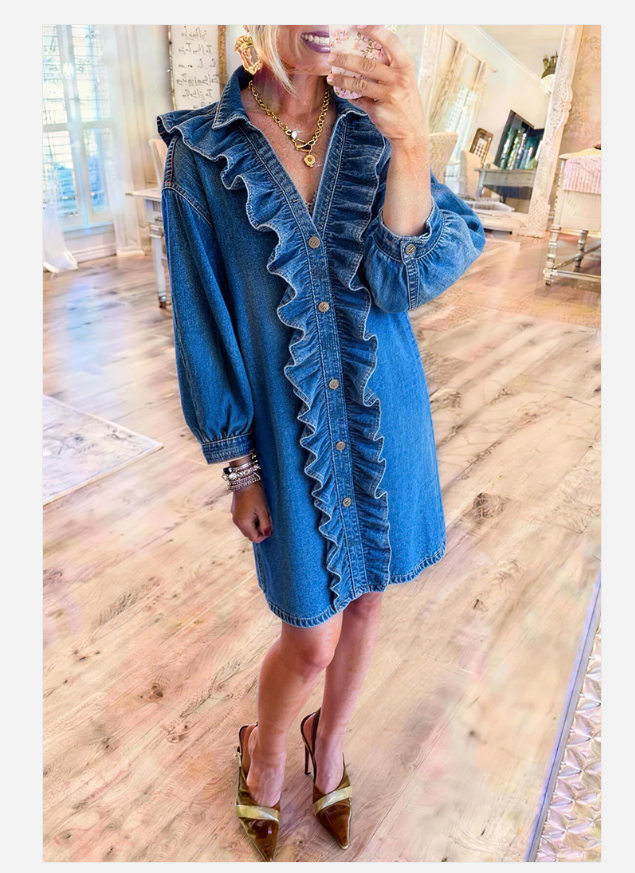 Long Sleeves Denim Maxi Dress