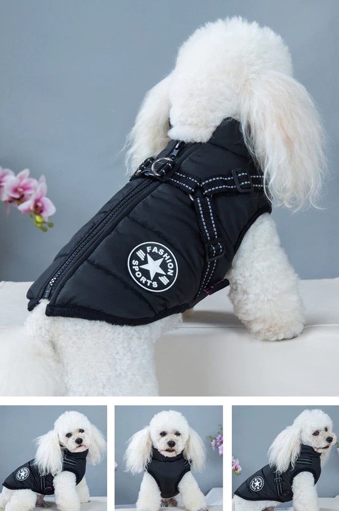 🎅Waterproof Winter Dog Jacket with Built-in Harness