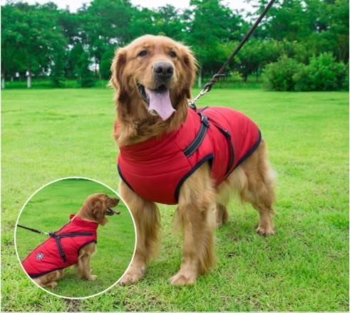 🎅Waterproof Winter Dog Jacket with Built-in Harness