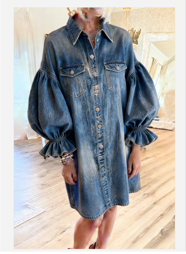Long Sleeves Denim Maxi Dress